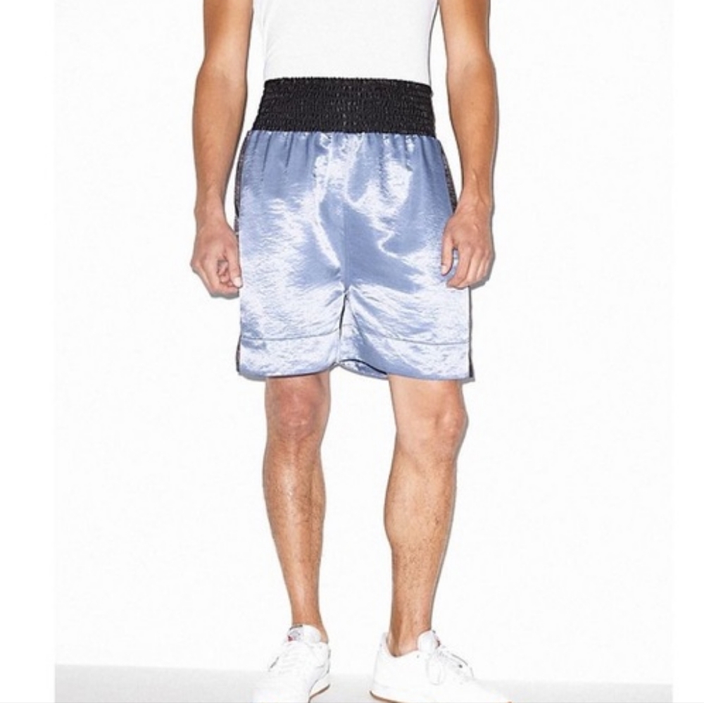 NWOT pearl shimmery American Apparel high waist shorts